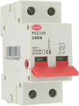 125A 2P MAINS ISOLATOR SWITCH