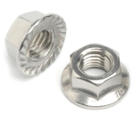 M6 HEX SERRATED FLANGE NUT BZP