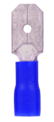 PUSH ON MALE BLUE WT59 TPMB