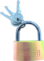 Brass Padlocks