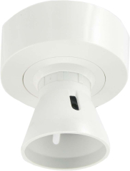 Batten Lamp Holder