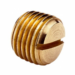 Slotted Plugs