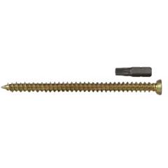 Concrete Frame Screws TX30