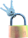 Padlock Brass 25mm